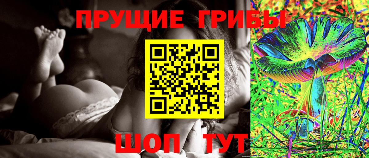хочу   Галлюциногенные грибы Psilocybine cubensis  Вход с VPN  Северск 