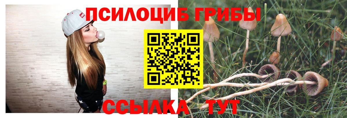 Псилоцибиновые грибы GOLDEN TEACHER Северск