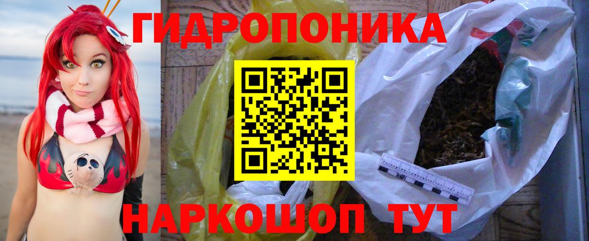 Шишки марихуана ГИДРОПОН  Канабис индика  Вход с VPN  Северск  Бошки марихуана White Widow  Шишки марихуана MAZAR 